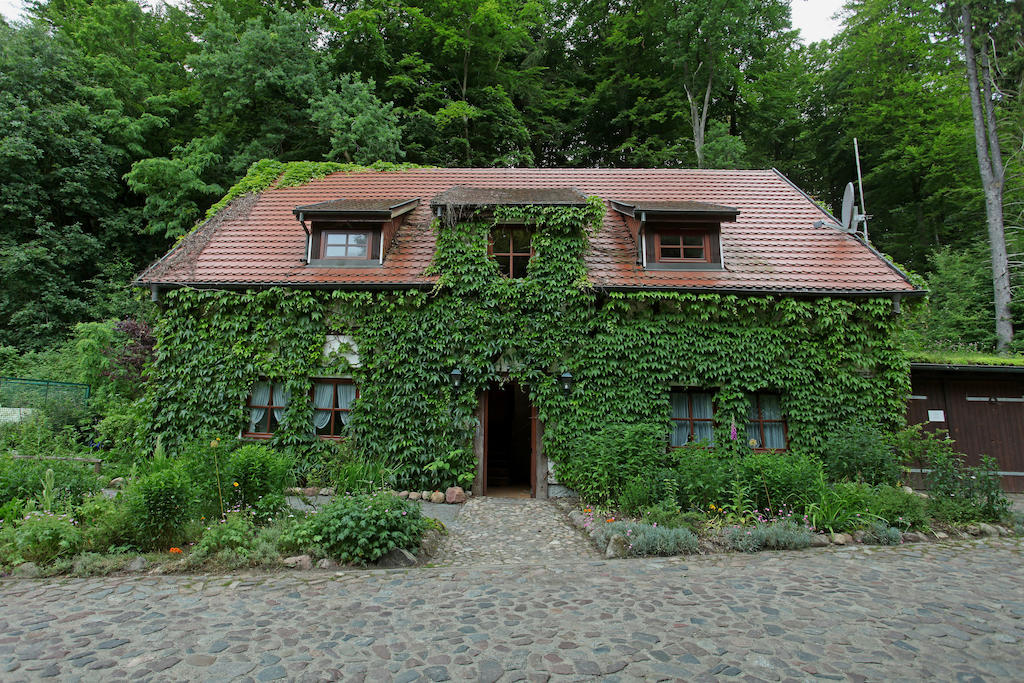 Hotel Boltenmuehle Guhlen Glienicke Room photo